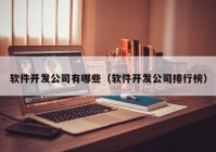 軟件開發(fā)公司有哪些（軟件開發(fā)公司排行榜）