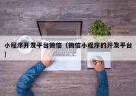 小程序開發(fā)平臺(tái)微信（微信小程序的開發(fā)平臺(tái)）