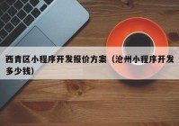 西青區(qū)小程序開發(fā)報價方案（滄州小程序開發(fā)多少錢）