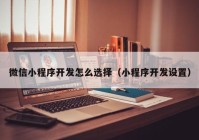 微信小程序開發(fā)怎么選擇（小程序開發(fā)設(shè)置）