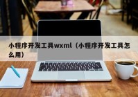 小程序開(kāi)發(fā)工具wxml（小程序開(kāi)發(fā)工具怎么用）