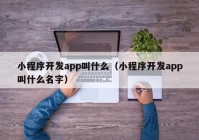 小程序開發(fā)app叫什么（小程序開發(fā)app叫什么名字）