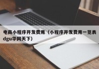 電商小程序開發(fā)費用（小程序開發(fā)費用一覽表dgu華網(wǎng)天下）