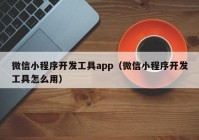 微信小程序開發(fā)工具app（微信小程序開發(fā)工具怎么用）