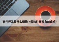 軟件開發(fā)靠什么賺錢（做軟件開發(fā)有前途嗎）