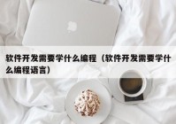 軟件開發(fā)需要學什么編程（軟件開發(fā)需要學什么編程語言）