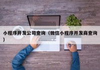 小程序開發(fā)公司查詢（微信小程序開發(fā)商查詢）