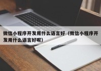 微信小程序開發(fā)用什么語言好（微信小程序開發(fā)用什么語言好呢）