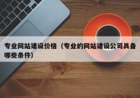 專業(yè)網(wǎng)站建設(shè)價(jià)格（專業(yè)的網(wǎng)站建設(shè)公司具備哪些條件）