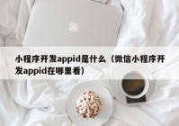 小程序開發(fā)appid是什么（微信小程序開發(fā)appid在哪里看）